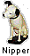 Nipper and Nipperabilia